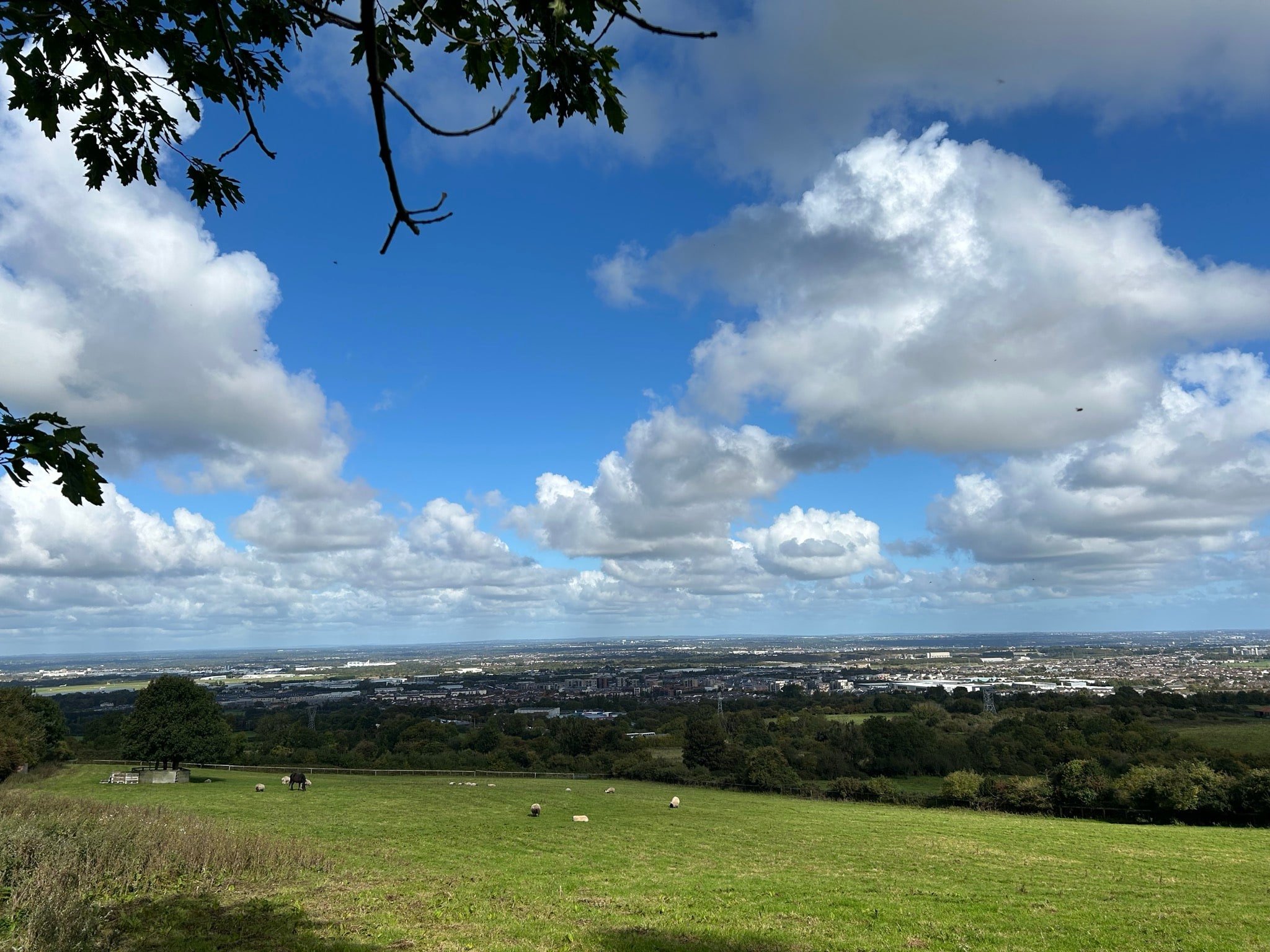 Countryside view towards Dublin