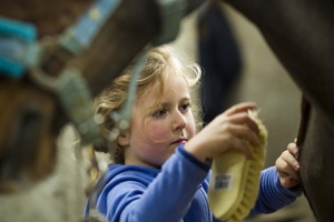 A young visitor meeting a horse at Calliaghstown Equestrian Centre