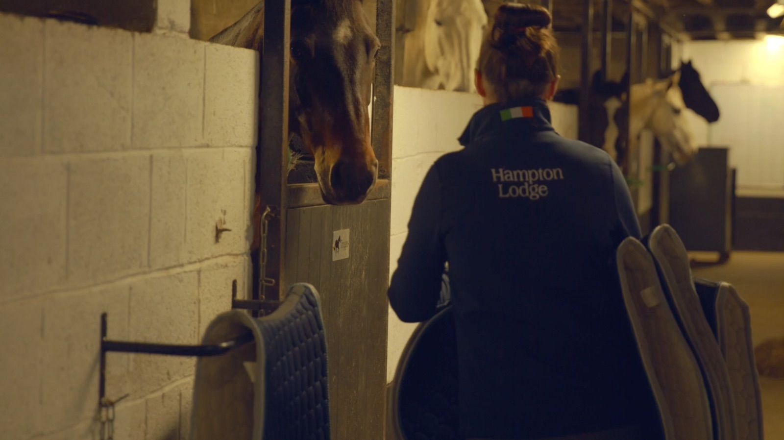 A member of the Hampton Lodge team caring for a horse in the stable