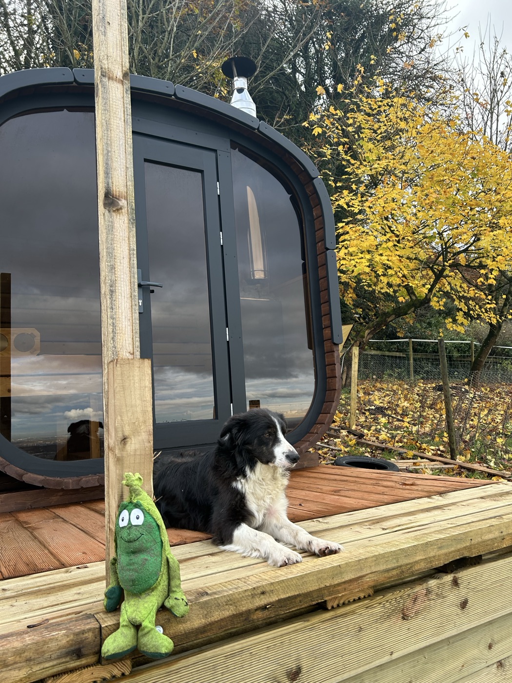 Happy farm dog outside a timber cabin