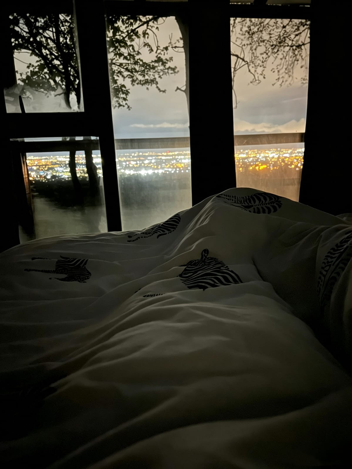 Night view from the Star Gazer bed