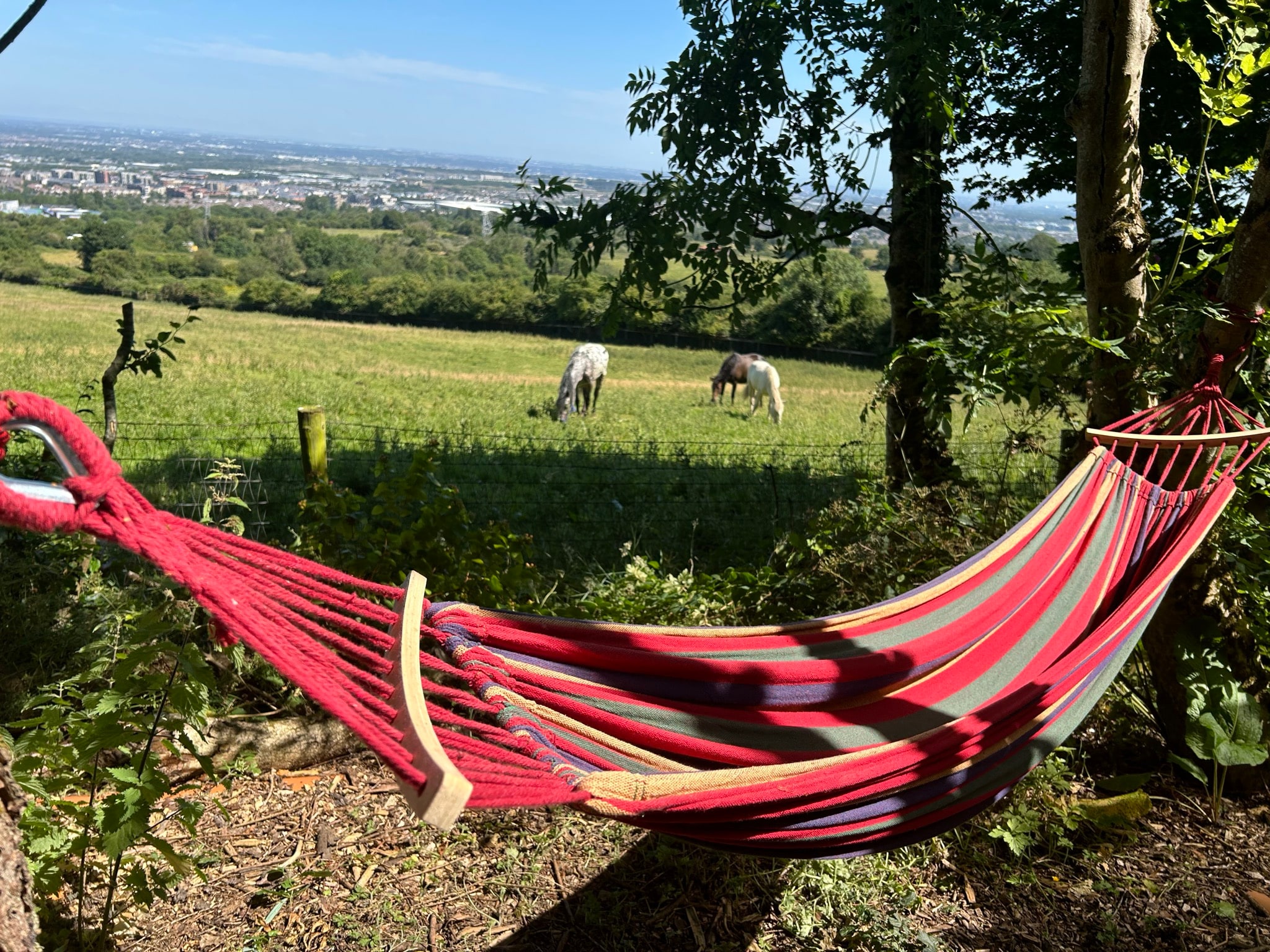 A red hammock overlooking the Happy Land Farm fields and Dublin